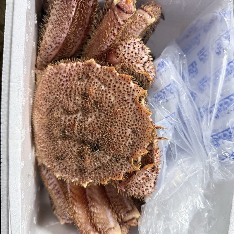 発泡箱に入った毛蟹
