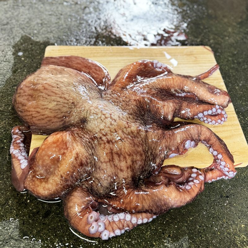 水揚げされたミズダコ